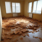 картинка квиза